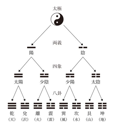 易陽淺淺|巽